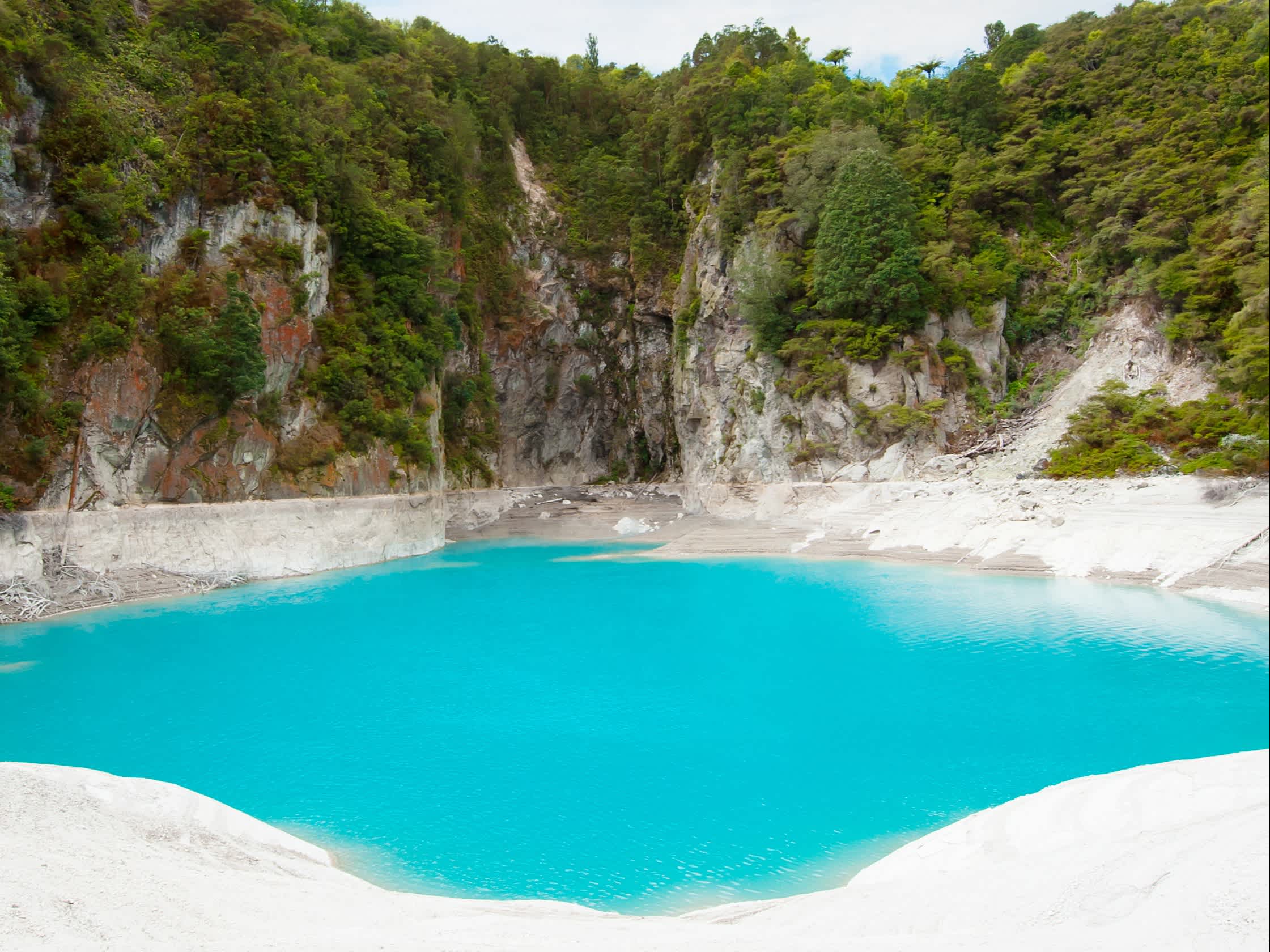 Neuseeland Quelle Rotorua
