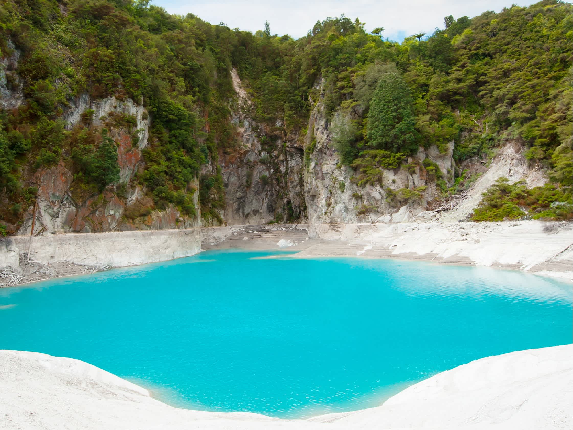 Geyser bleu turquoise  entouré de végétation et sable blanc, dans un des parcs nationaux de la région de Rotorua, sur l'ile du nord en Nouvelle-Zélande.