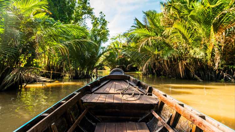 Schöne Reise! Auf dem Boot im Regenwald auf dem Mekong, Vietnam