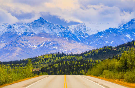 Route de Denali Park Road, dans le Parc national de Denali, en Alaska