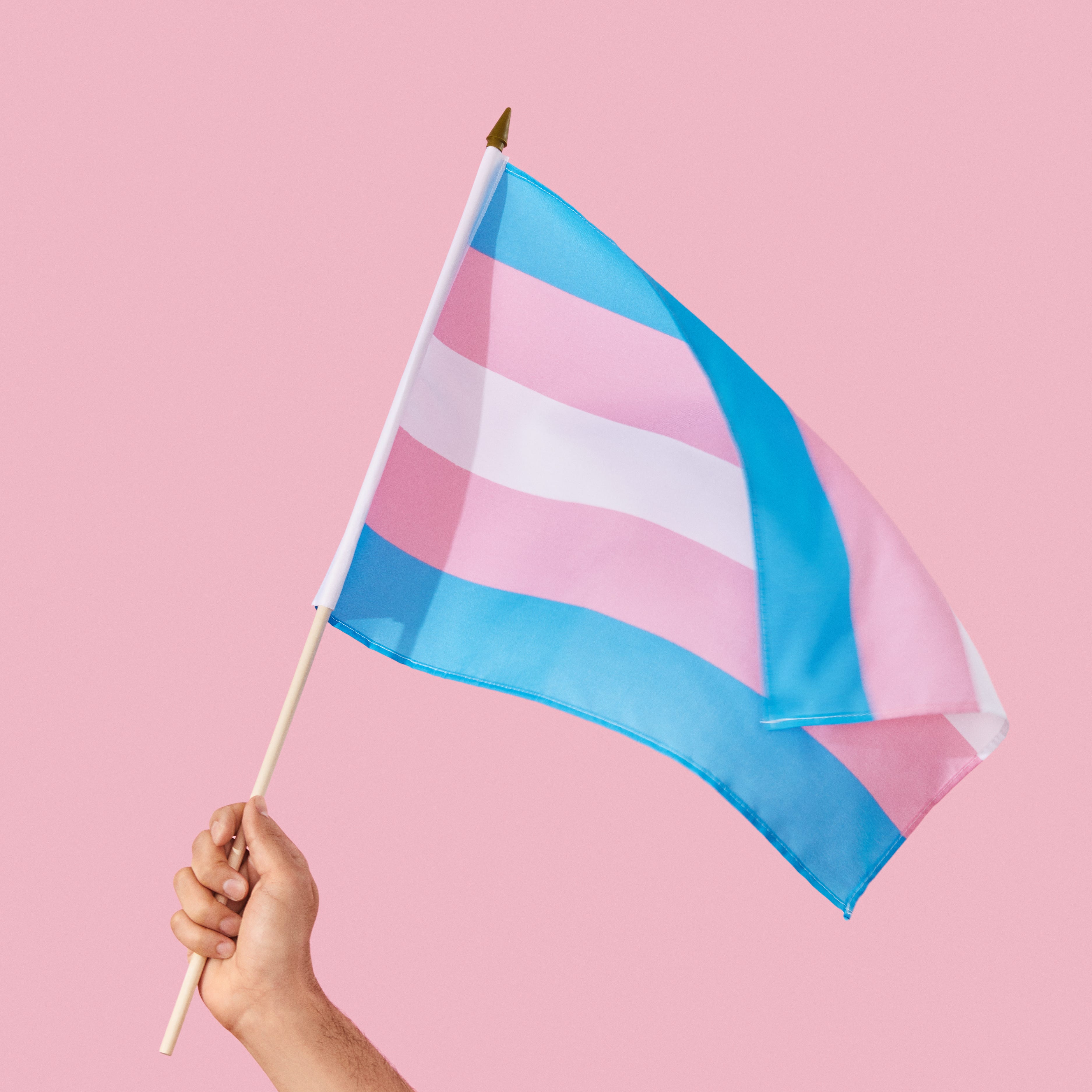 LGBTQIA+flag