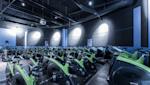 ELIXIA Flamingo - Cycling