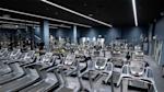 gardet cardio