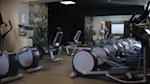 Cardio-område med løbebånd, romaskine, stairmaster, crosstrainer mm.