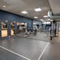 Modernt gym med blå väggar, grått golv, träningsutrustning och glasdörrar märkta Group Training Studio och Entrance.