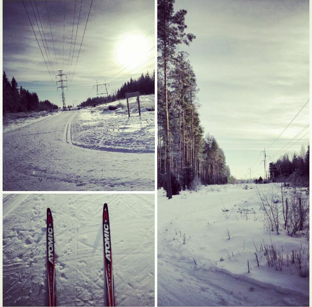 Skiing, the king of winter sports!