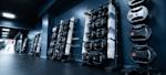 hinna weights
