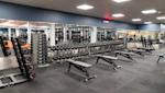 Modernt gym med hantlar i ställ, träningsbänkar och utrustning. Blå vägg, vitt tak och grått golv.