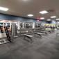 Modernt gym med hantlar i ställ, träningsbänkar och utrustning. Blå vägg, vitt tak och grått golv.