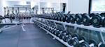 varmdo dumbells