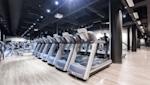 ELIXIA Flamingo - Treadmills