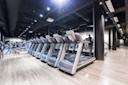 ELIXIA Flamingo - Treadmills