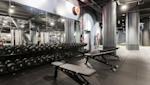 ELIXIA Redi - Free weights