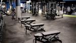 gamlestaden dumbells