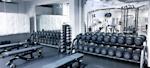 hamnen free weights