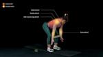 Bent over raise (1)