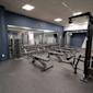 Modernt gym med blå väggar, träningsbänkar, hantlar i ställ och träningsutrustning under vitt takpaneltak.