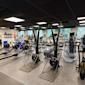Modernt gym med roddmaskiner i förgrunden, löpband och styrketräningsutrustning, stora fönster och svart tak.