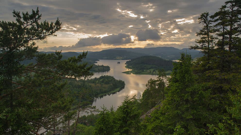Högakusten Winter trail 2018