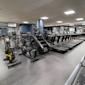 Modernt gym med rad av löpband till höger och träningscyklar samt crosstrainers till vänster, blå väggar och grått golv.