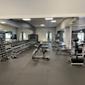 Modernt gym med hantlar längs väggen, träningsbänkar och viktskivor. Grått golv och stora speglar på väggarna.