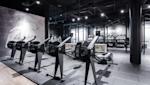 ELIXIA Flamingo - Rowing machines