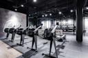 ELIXIA Flamingo - Rowing machines