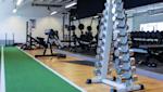 sagvagen dumbells