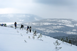 Högakusten Winter trail 2018