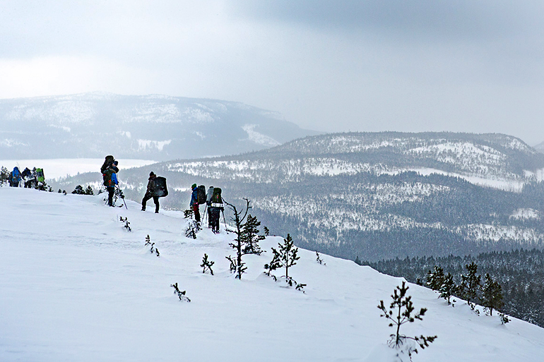 Högakusten Winter trail 2018