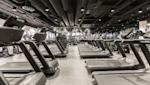 ELIXIA Redi - Treadmills