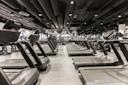 ELIXIA Redi - Treadmills