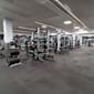 Modernt gym med styrketräningsutrustning, squat racks och vikter på grått golv med synliga ventilationskanaler i taket.