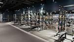 Modernt gym med svarta träningsställningar, färgglada viktskivor och blå väggar under industriellt tak.