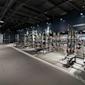 Modernt gym med svarta träningsställningar, färgglada viktskivor och blå väggar under industriellt tak.