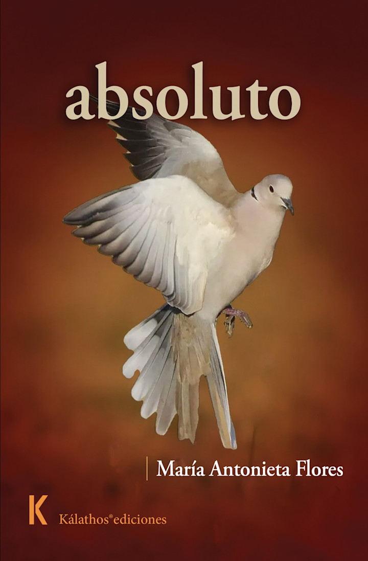 Portada de absoluto