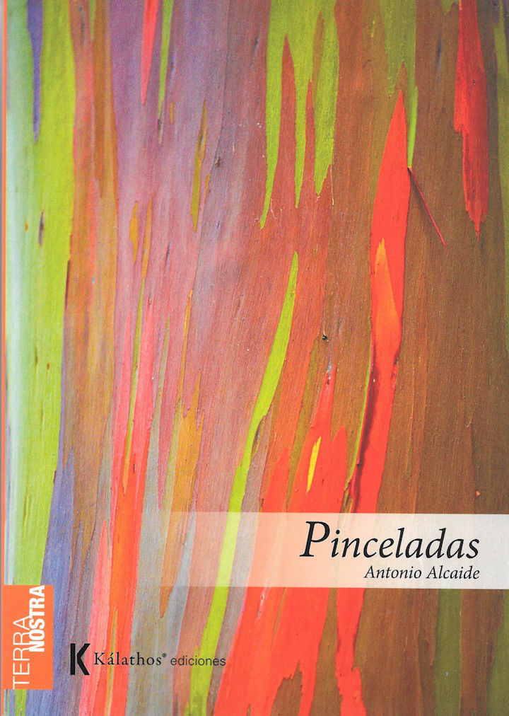 Portada de Pinceladas