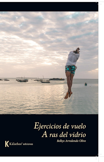 Portada de Ejercicios de vuelo / A ras del vidrio