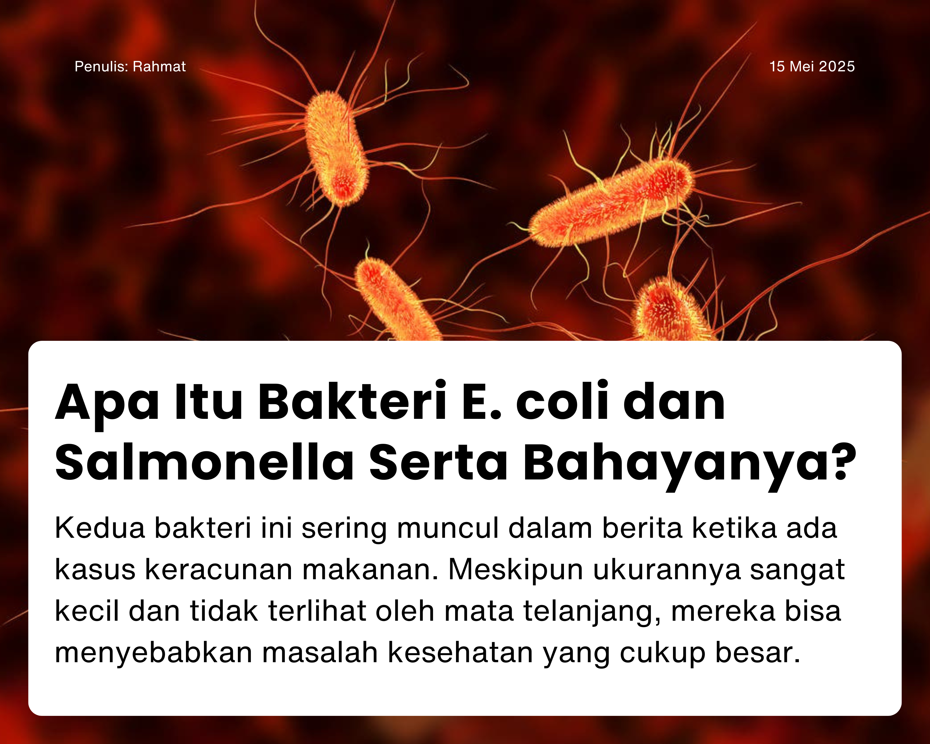 Cover for Apa Itu Bakteri E. coli dan Salmonella Serta Bahayanya?