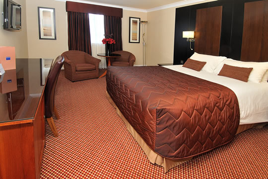 Search Result (Slide 7)