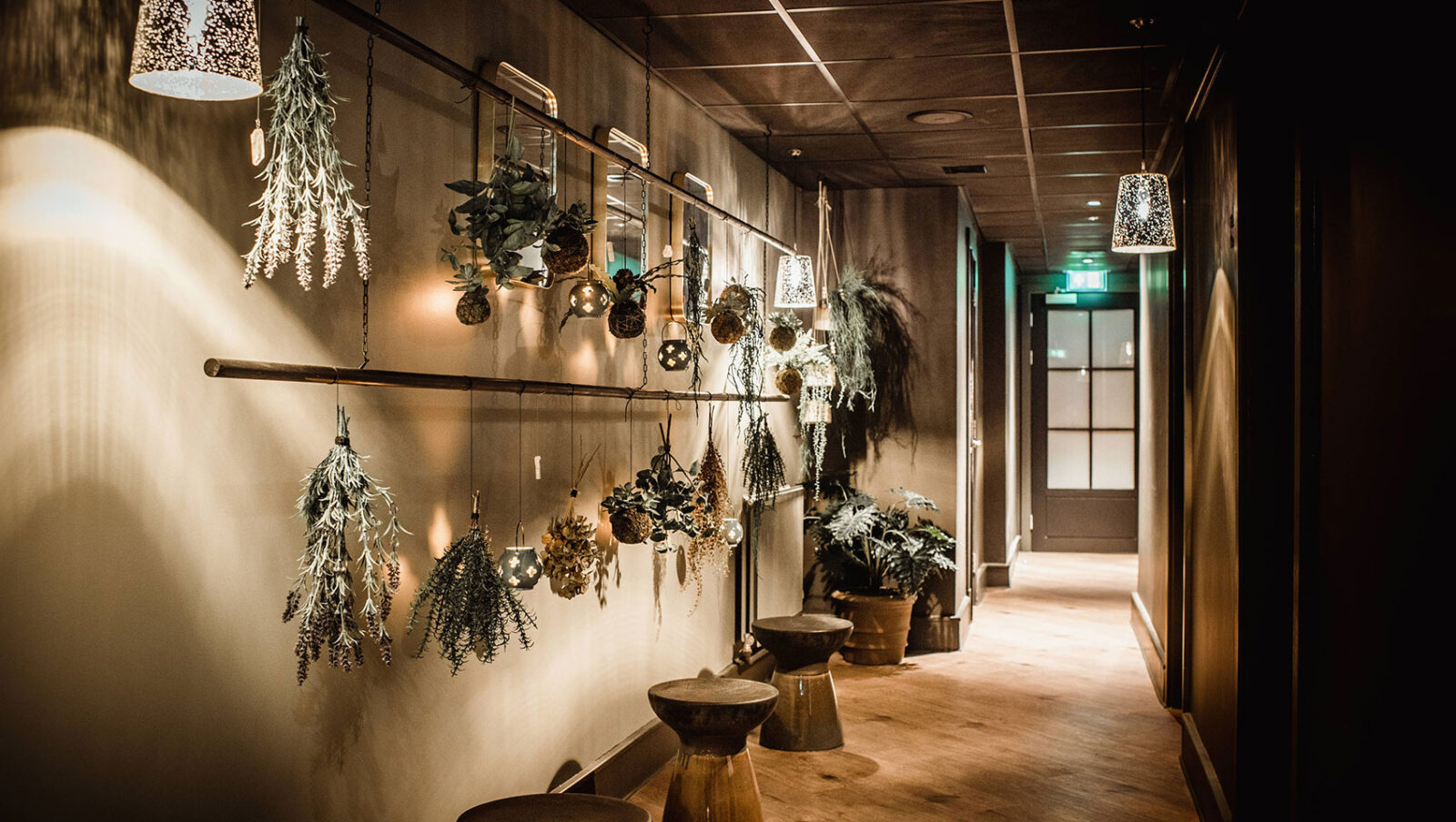 Search Result (Slide 7)