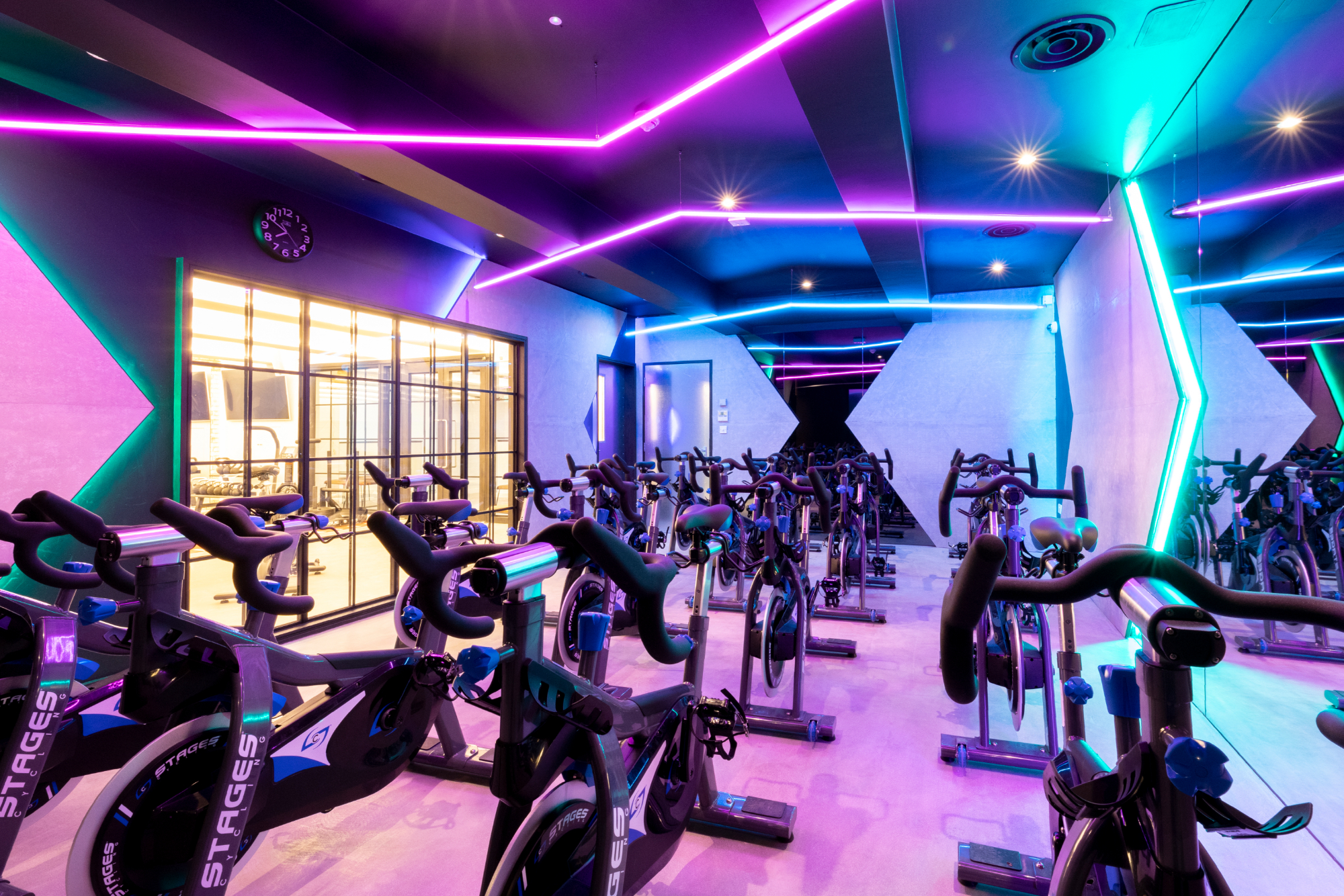 Tring   Gym
