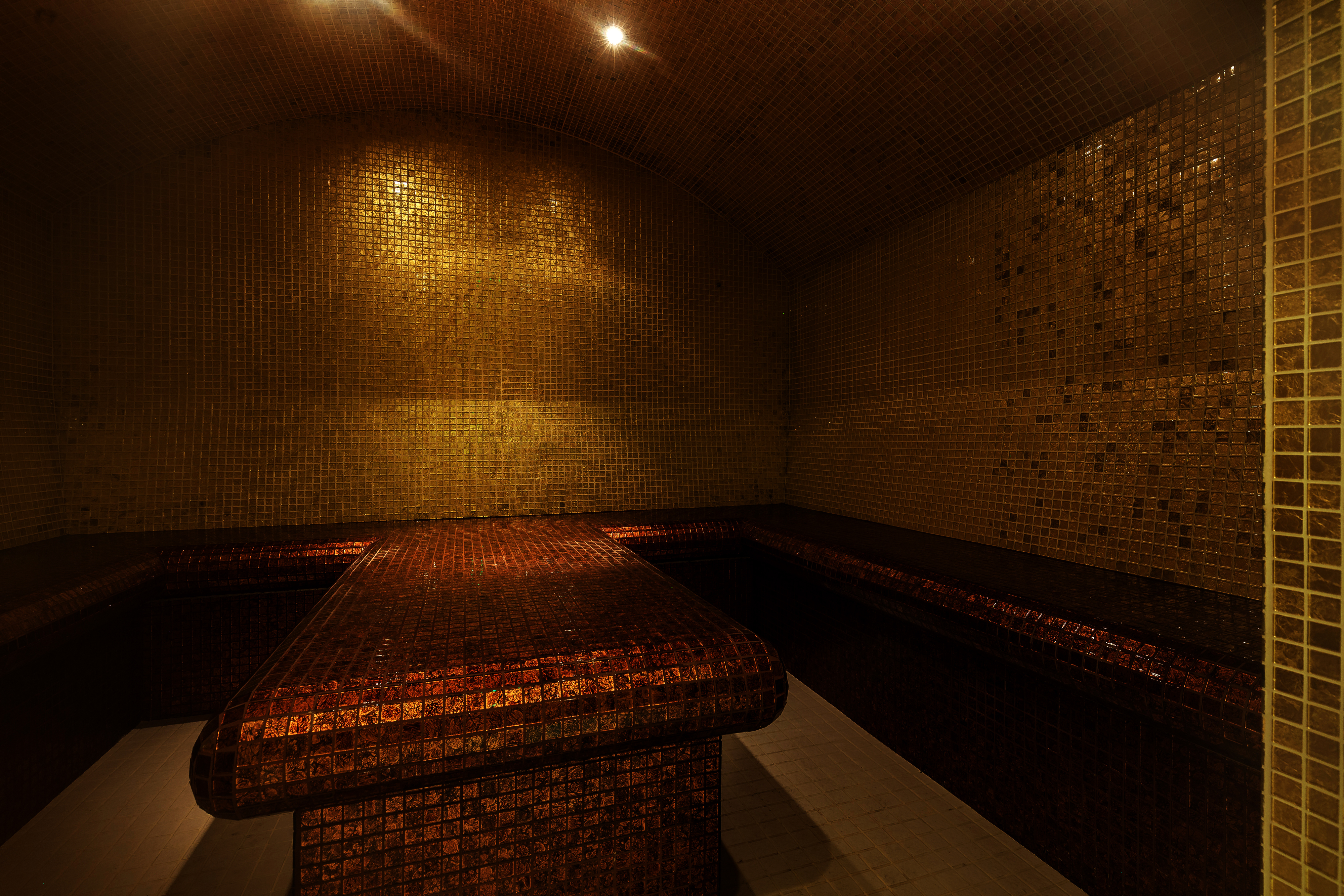 Sen Space Steam Room