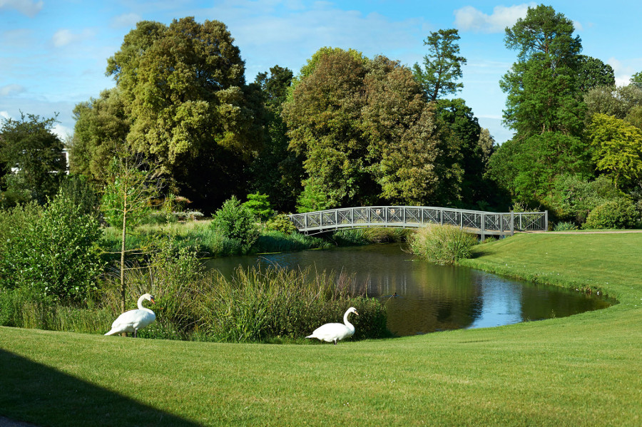 Hilton London Syon Park 14