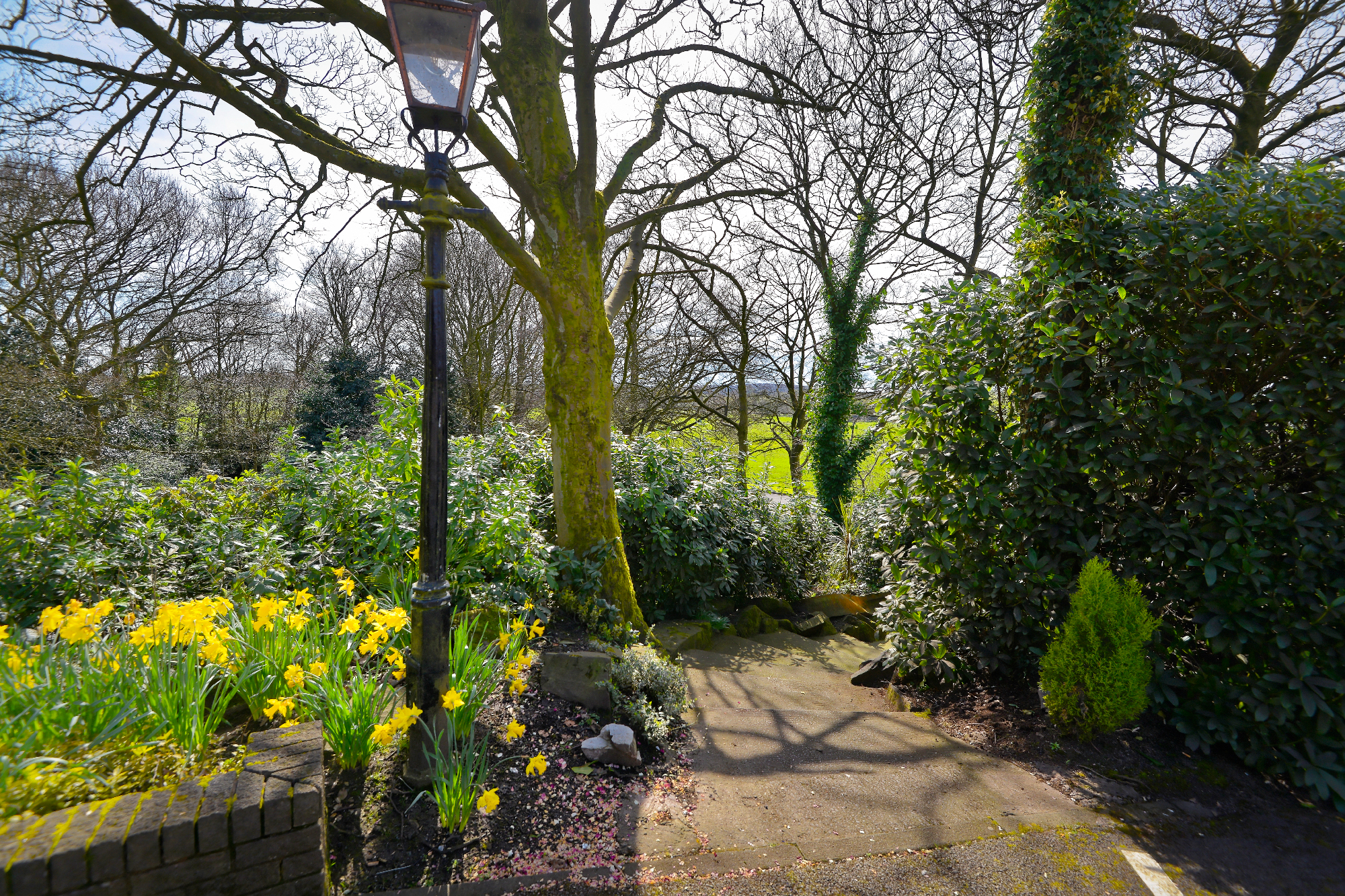 Norton Grange   Exterior Steps