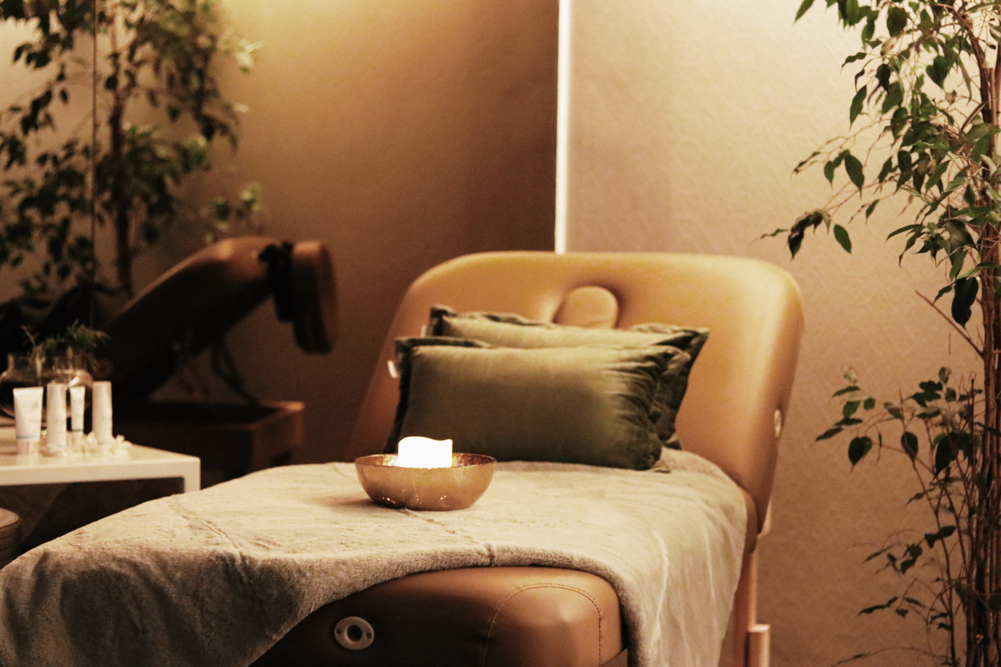 Treatment Bed   The Vincent 1316