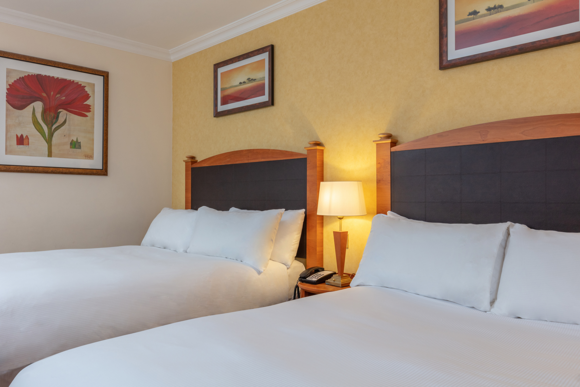 Search Result (Slide 6)