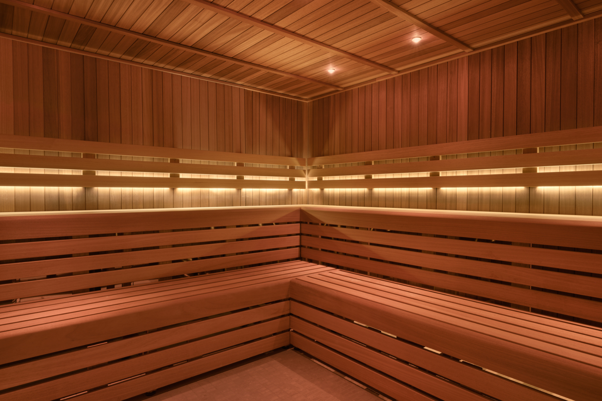 Search Result (Slide 5)