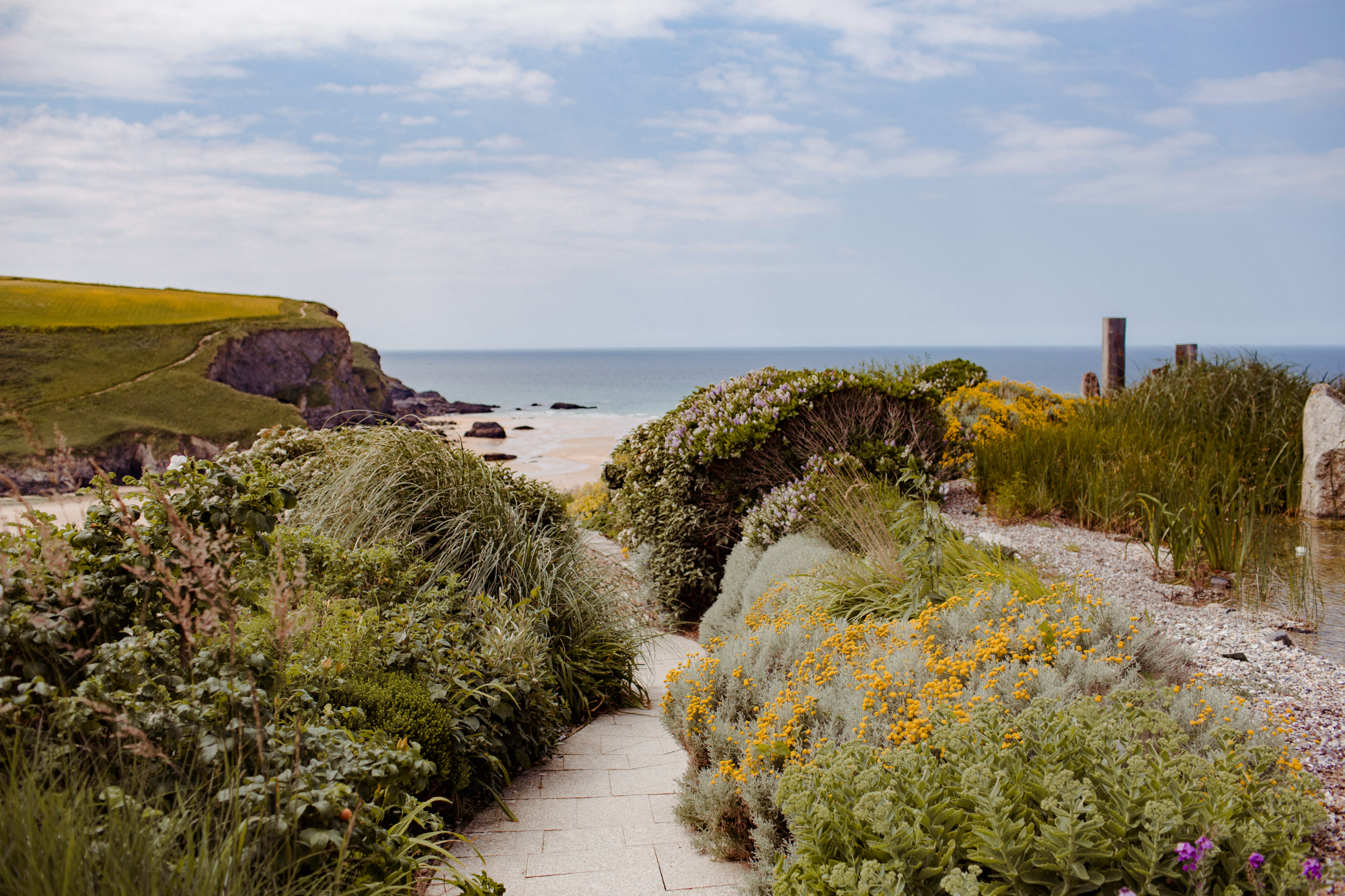 1 Scarlet Steps Empty E