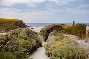 Analog detox and digital wellness: Why unplugging is the new self-care